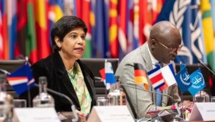 ICC Terbitkan Kebijakan Baru untuk Perkuat Penegakan Hukum Internasional di Bidang Lingkungan